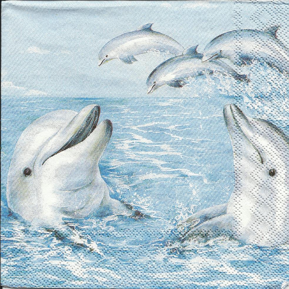 дельфины маленькие